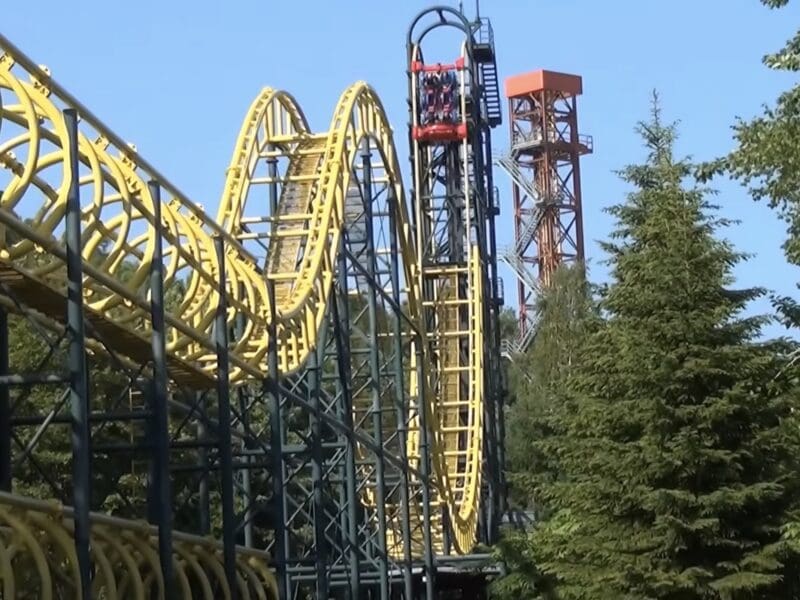 Japan roller coaster.