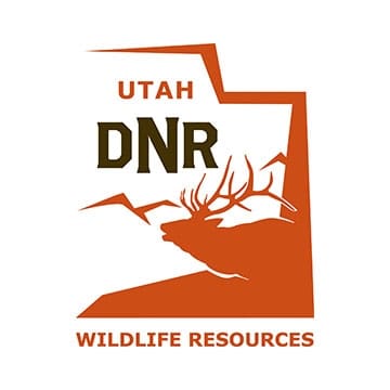 Utah construction worker attacked by black bear while sleeping on a cot.