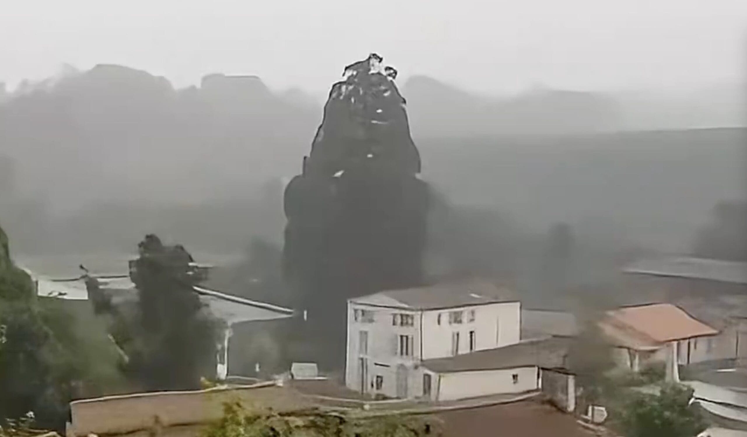 Instant Destruction: Why You Should Never Stand Near a Tree in a Storm ...