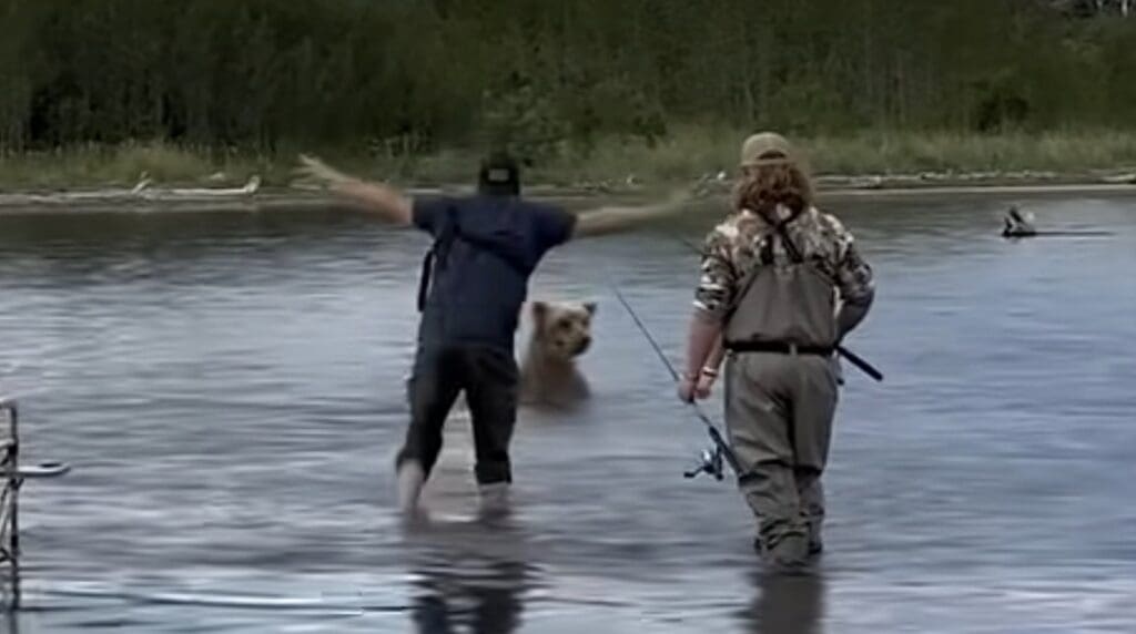 Alaskan fisherman scares away grizzly bear