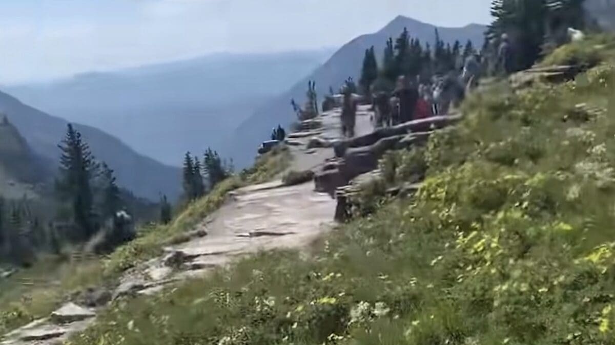 Grizzly sprints past hikers @ Glacier National Park