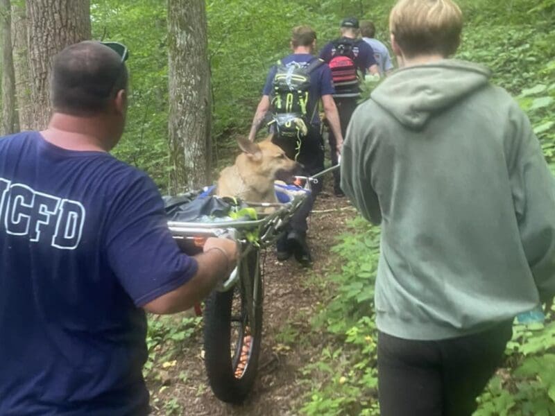 Wintergreen Fire & Rescue crew rescuing 7-year-old dog