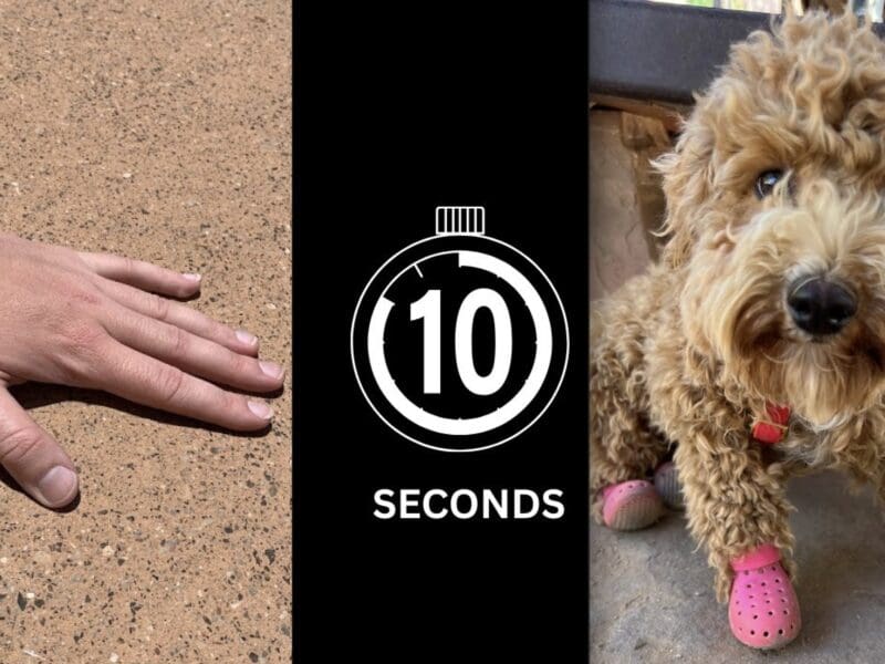 "10 Second Rule" for dog paws safety