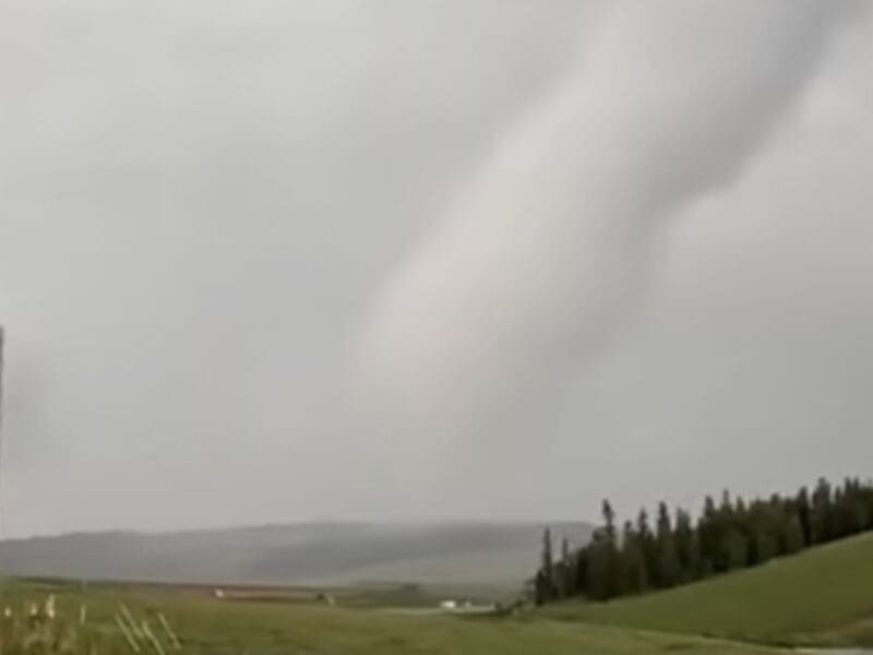 Potential tornado downs trees in Colorado mountain town.