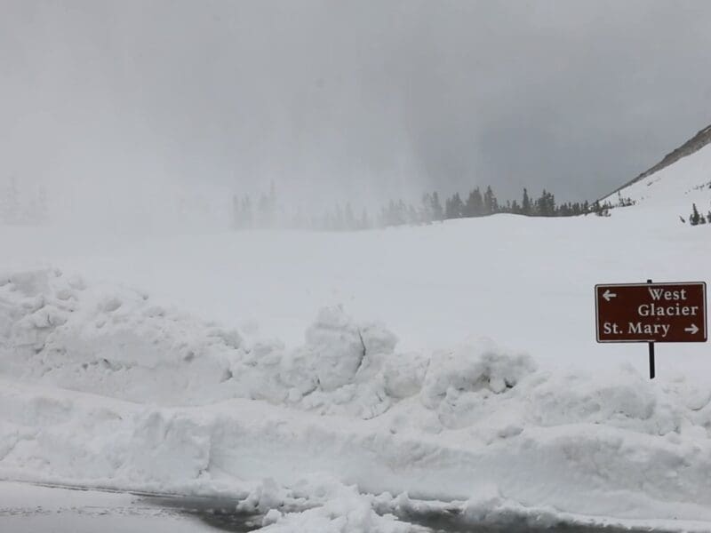 Snow in Glacier National Park.
