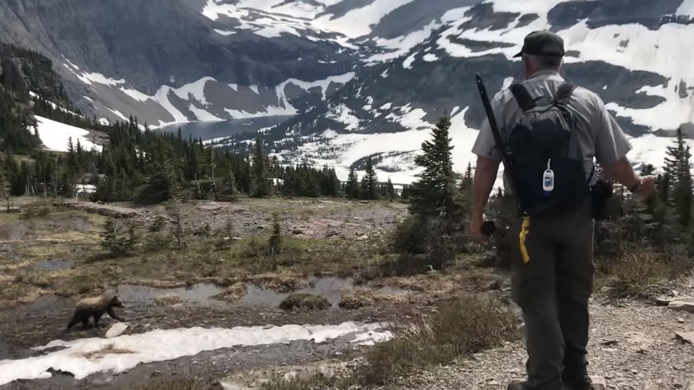 Park Ranger Protects Hikers From Approaching Grizzly Bear @ Glacier ...