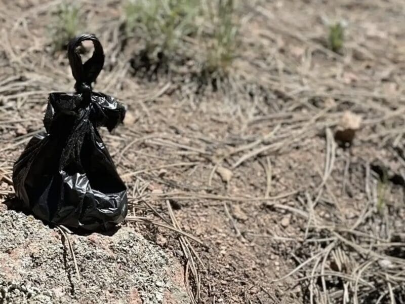 Colorado Parks & Wildlife message for dog owners who leave trailside poop bags.