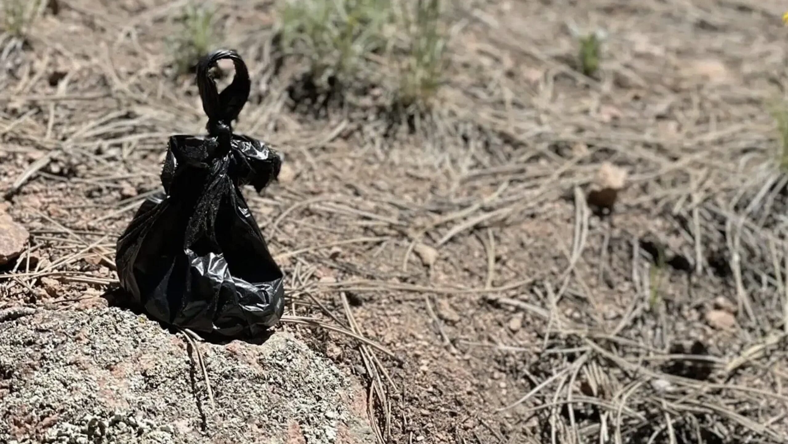 A Kindly Message For Dog Owners Who Leave Poop Bags On Hiking Trails