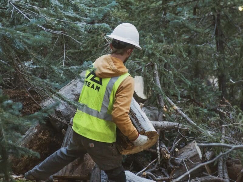 Arizona Snowbowl forestry work
