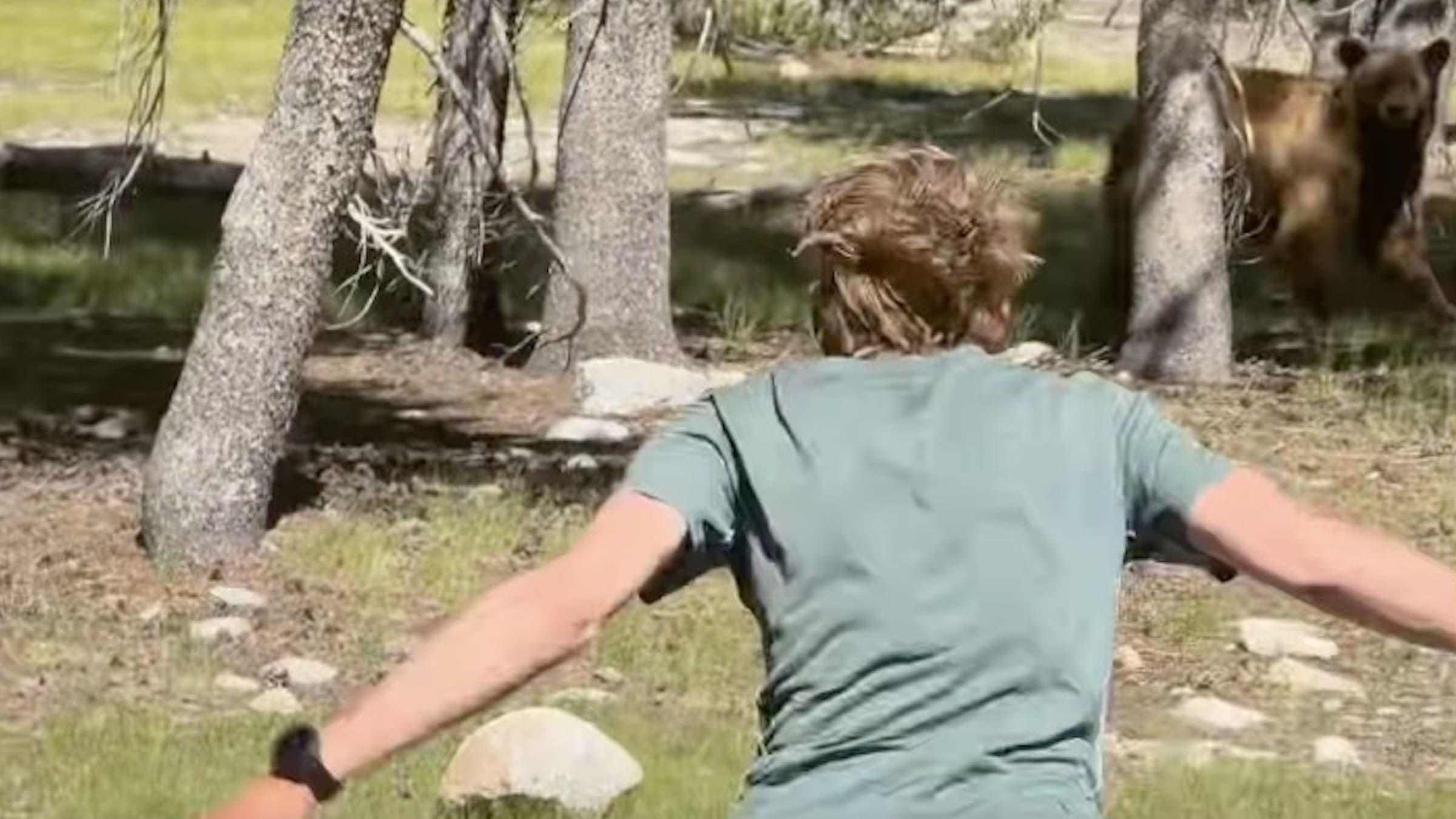 Overzealous Hiker Chases Bear In Yosemite Campground - Unofficial Networks