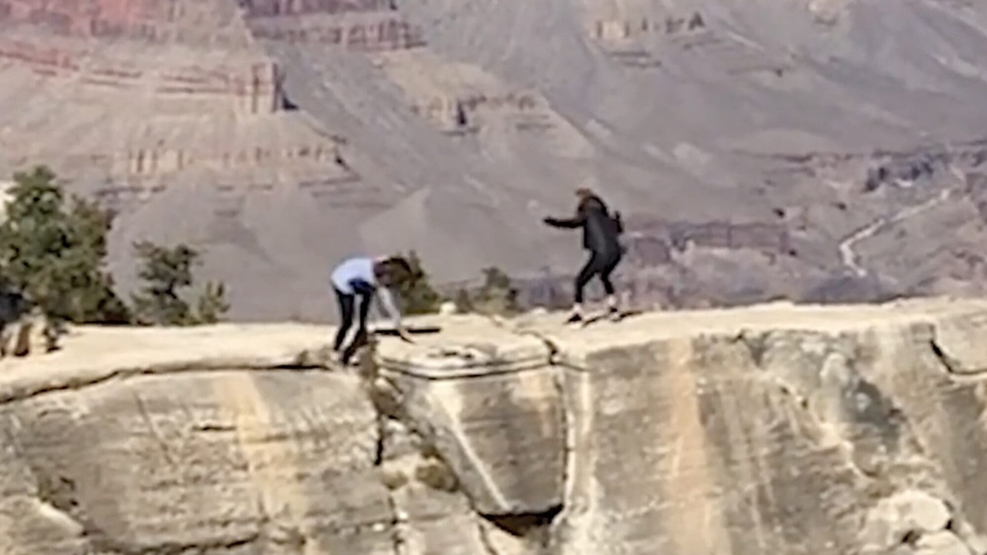 Woman Nearly Falls Into The Grand Canyon While Backing Up For A Picture ...