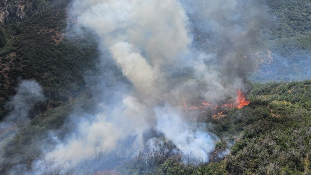 Wildfire in Black Canyon of the Gunnison.