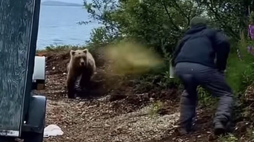 Grizzly seemingly unaffected by bear spray