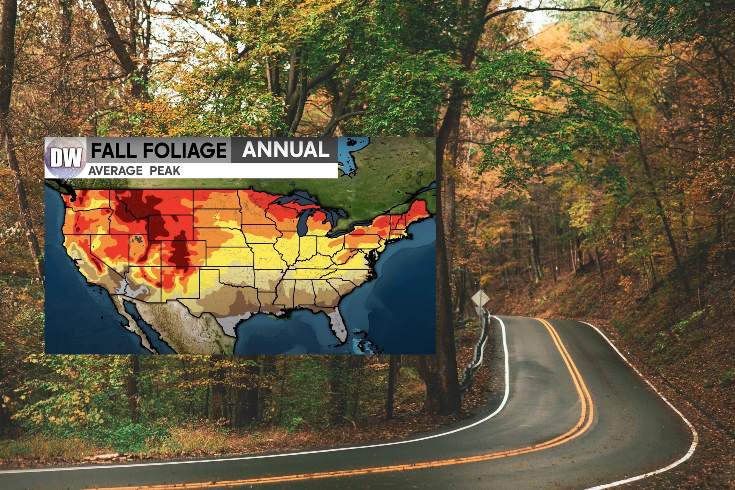 2025 Peak Fall Foliage: When to Plan Your Trip - Unofficial Networks