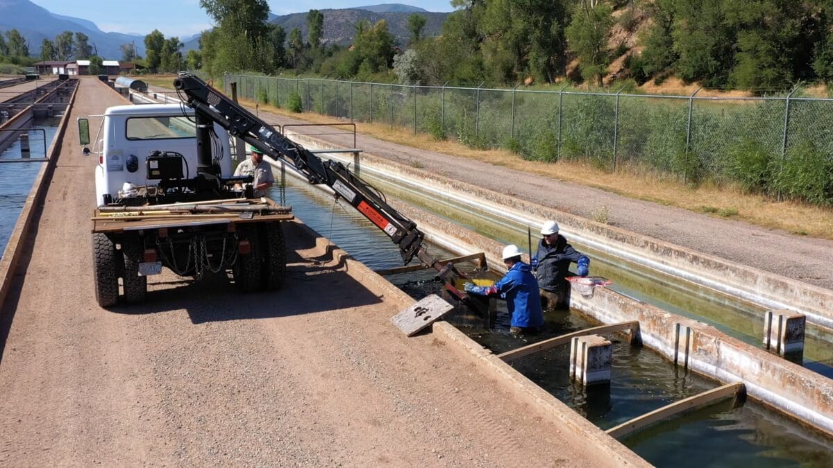 Colorado fish hatchery.