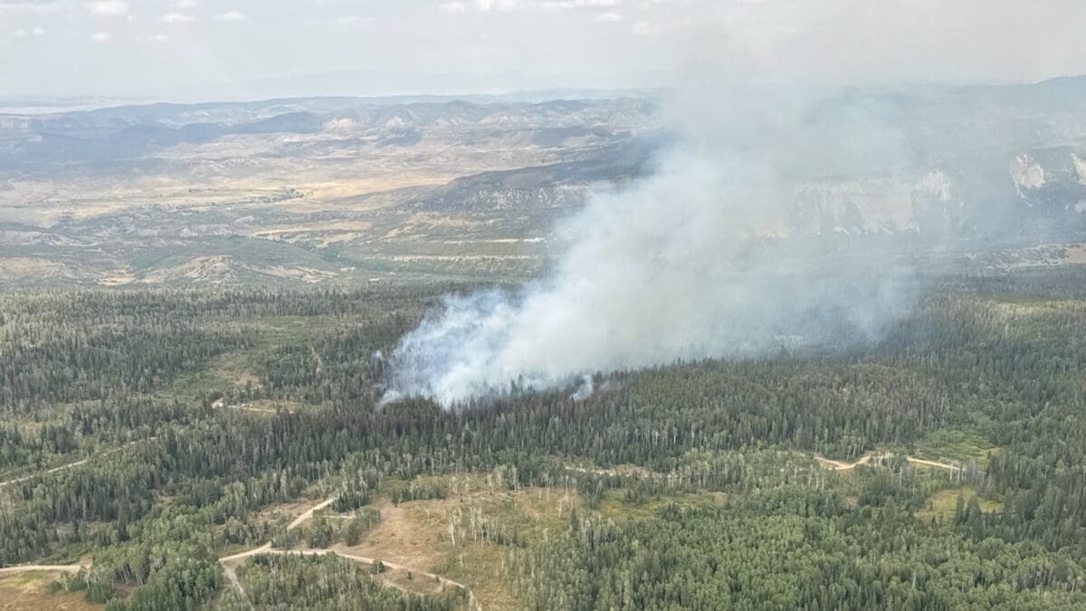 The Yellow Jacket Fire.