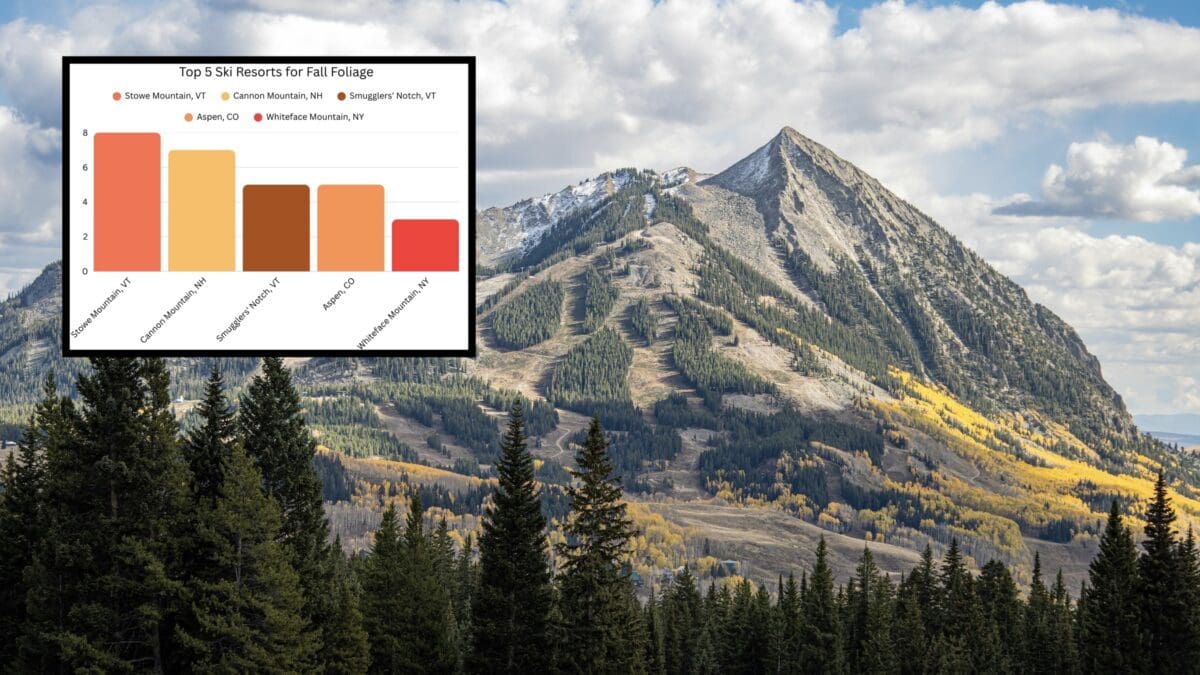 Fall foliage at Crested Butte.