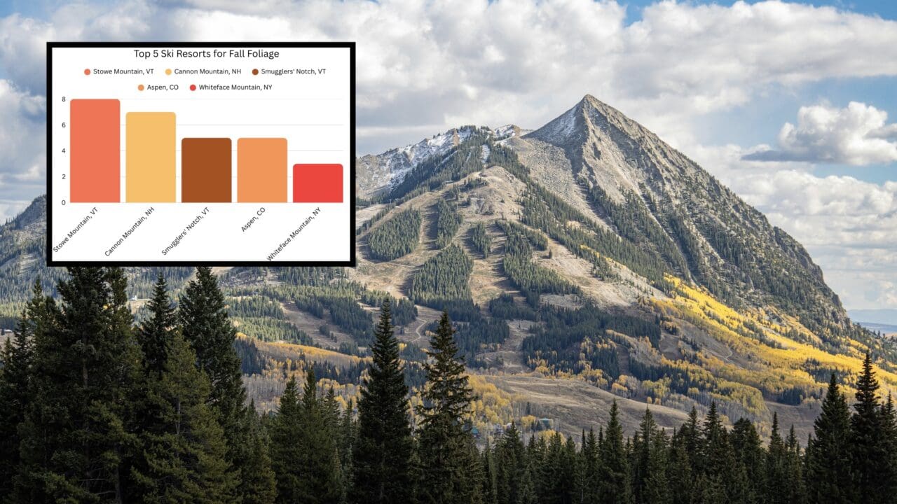 Fall foliage at Crested Butte.