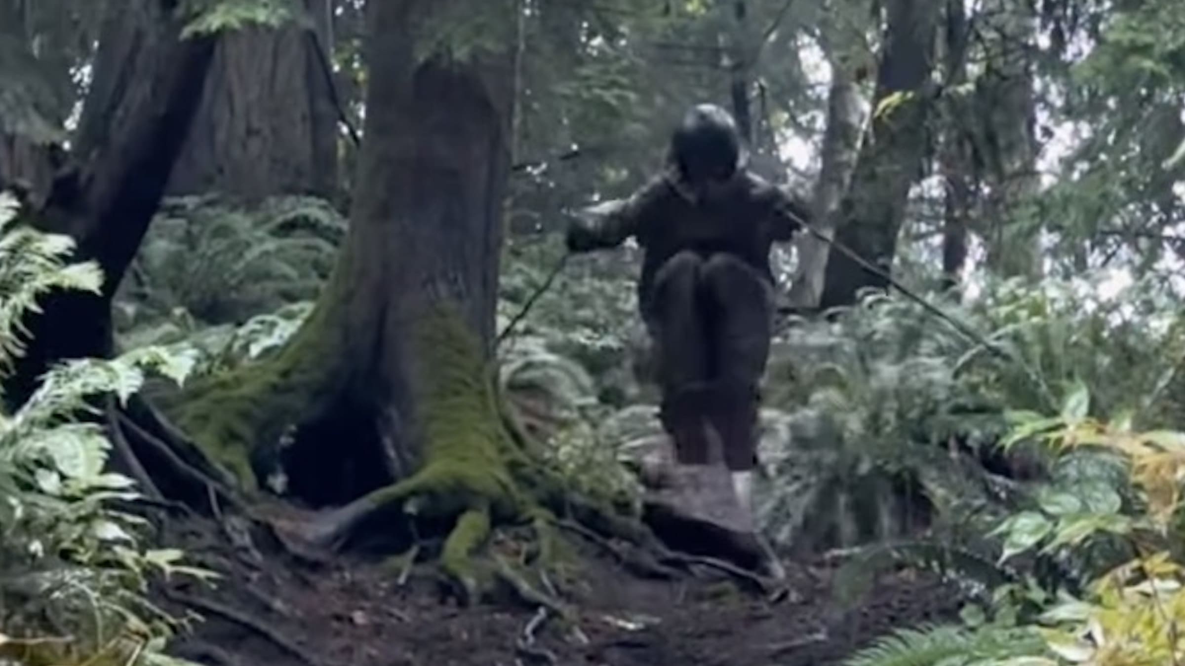 Professional Skier Takes Dirt Skiing To The Extreme
