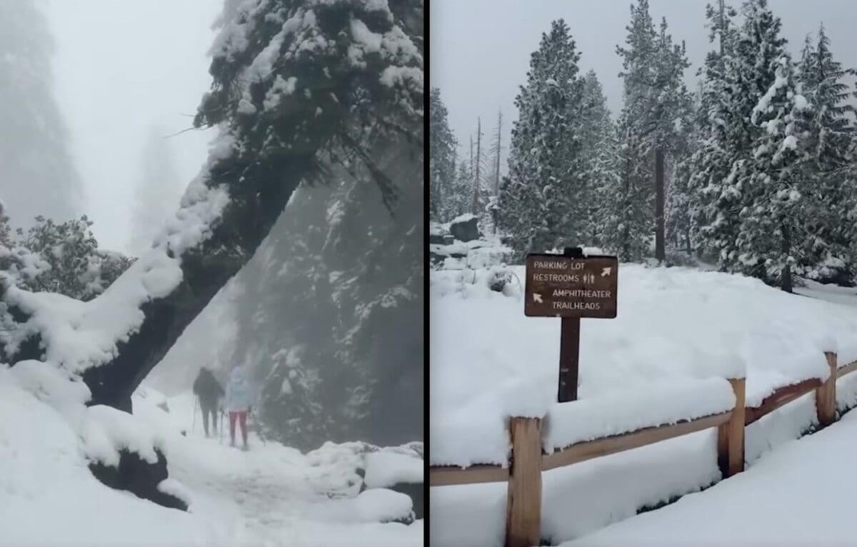 snow covering the landscape at Yosemite National Park