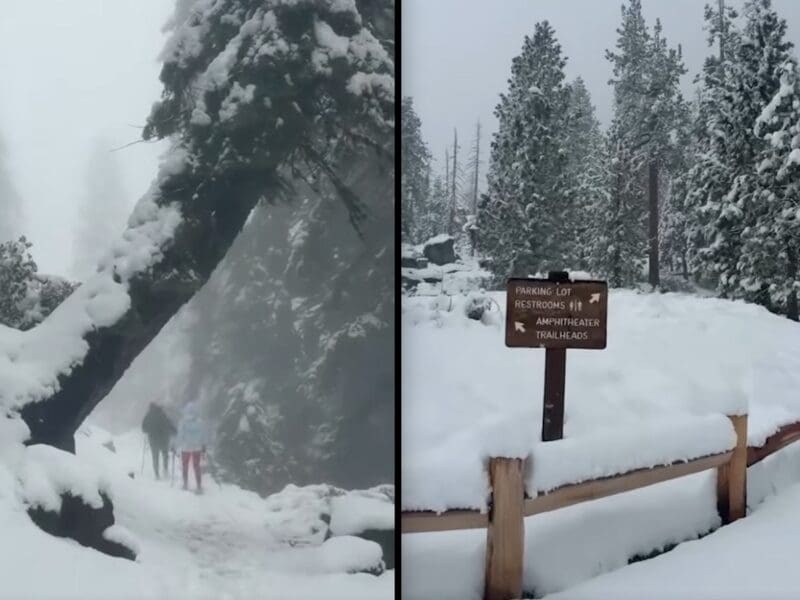 snow covering the landscape at Yosemite National Park
