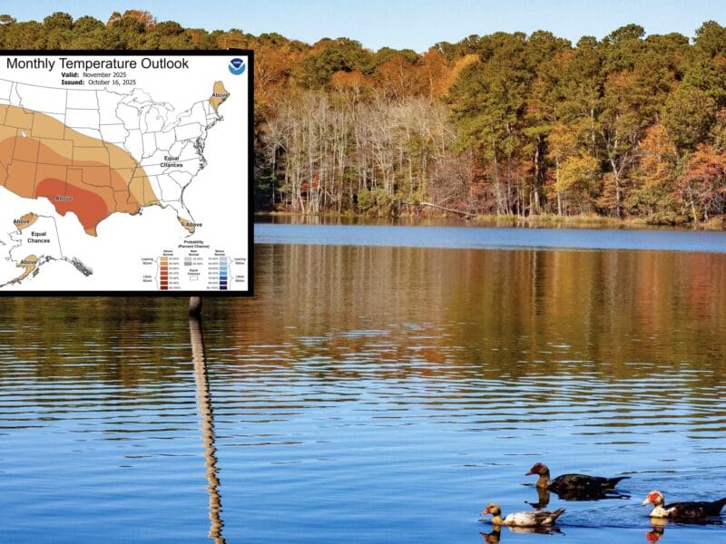 November weather outlook.