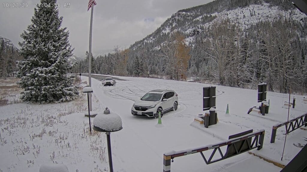 Yellowstone East Entrance webcam