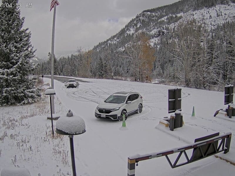 Yellowstone East Entrance webcam