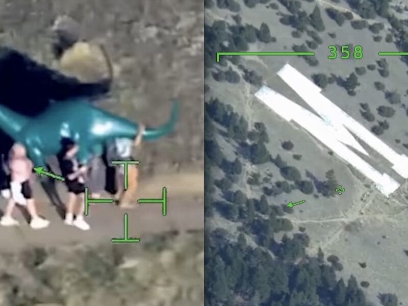 Sinclair Dinosaur carried down from the Montana State University "M".