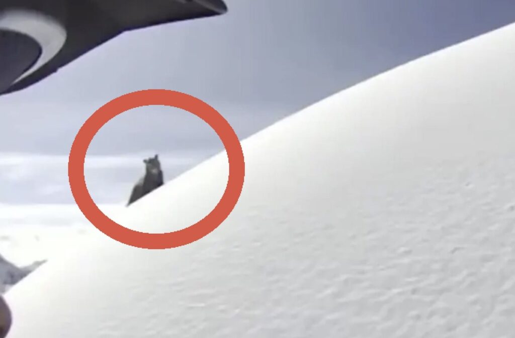 Idaho snowmobiler surprise encounter with grizzly bear