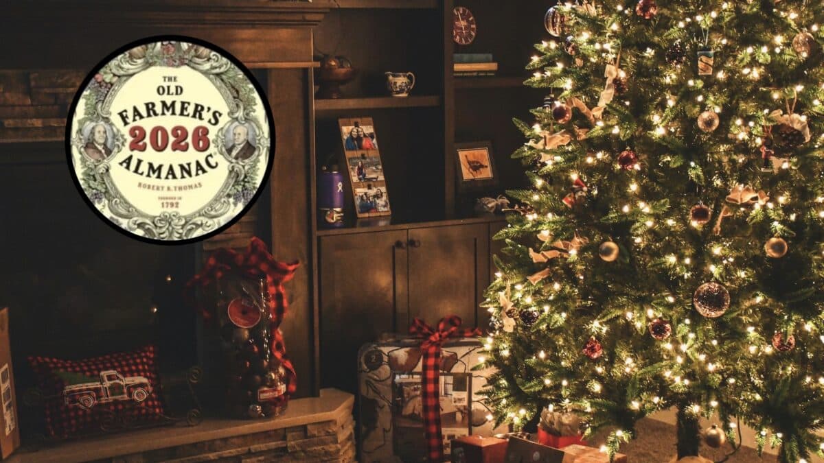 Old Farmer's Almanac Christmas Forecast.