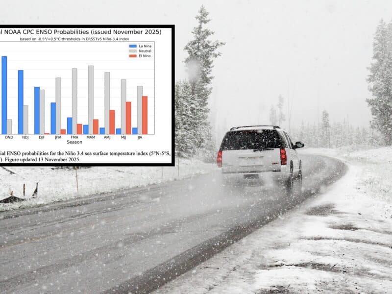 ENSO Probabilities show La Niña's strength in November.