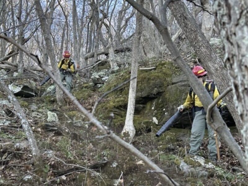 Firefighters work to suppress the Bear Den Mountain Fire.