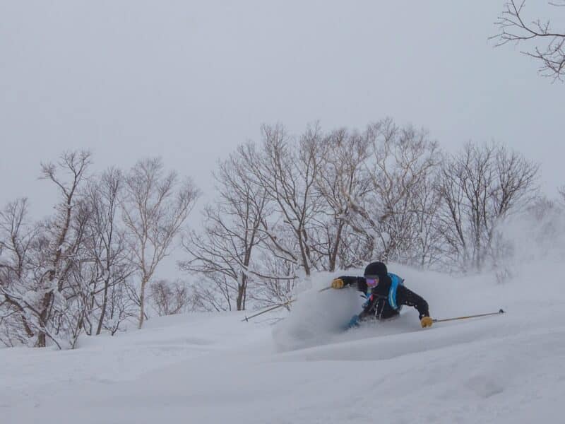 skier skiing in the trees