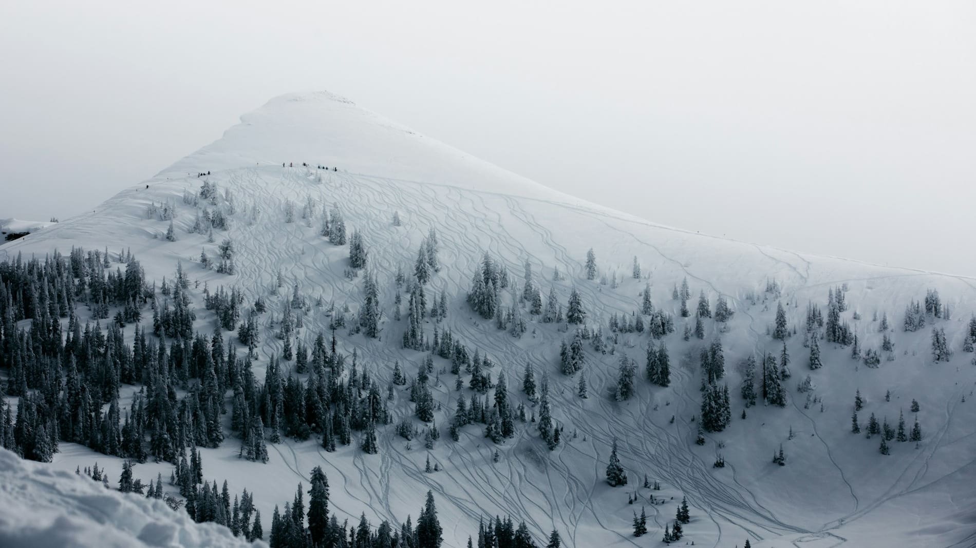 How Grand Targhee’s Proposed Expansion Could Impact The Ski Industry How Grand Targhee’s Proposed Expansion Could Impact The Ski Industry