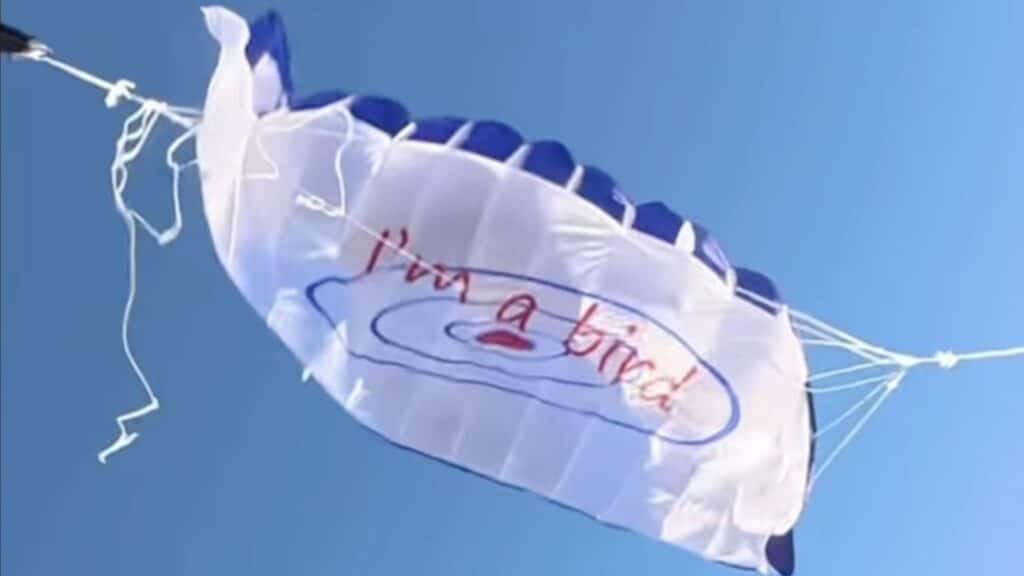 Cheap parachute bought off the internet.