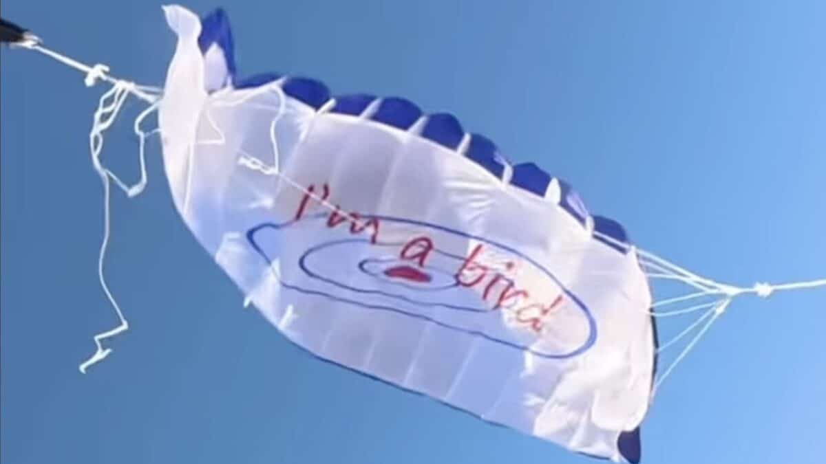 Cheap parachute bought off the internet.