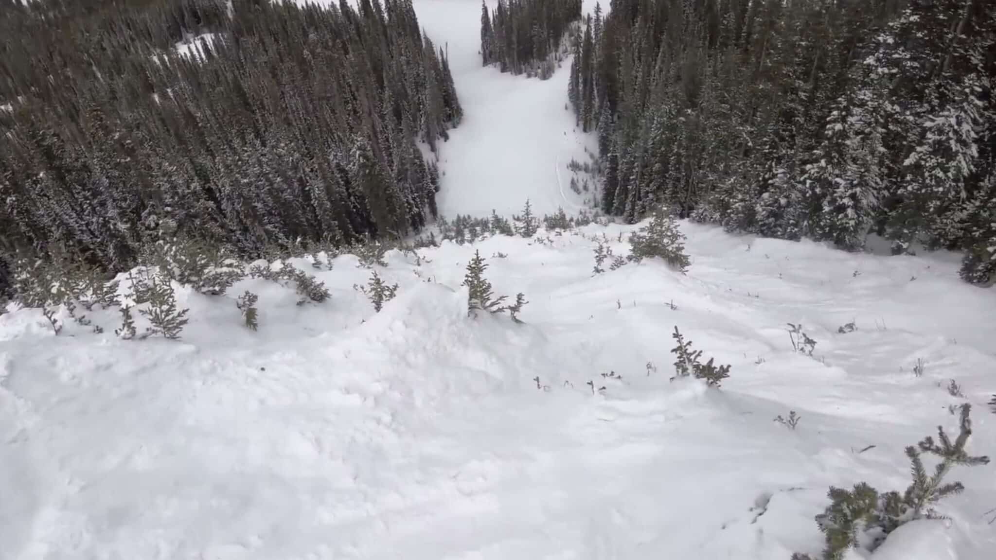 Skiing North America's Steepest Tree-Cut Trail