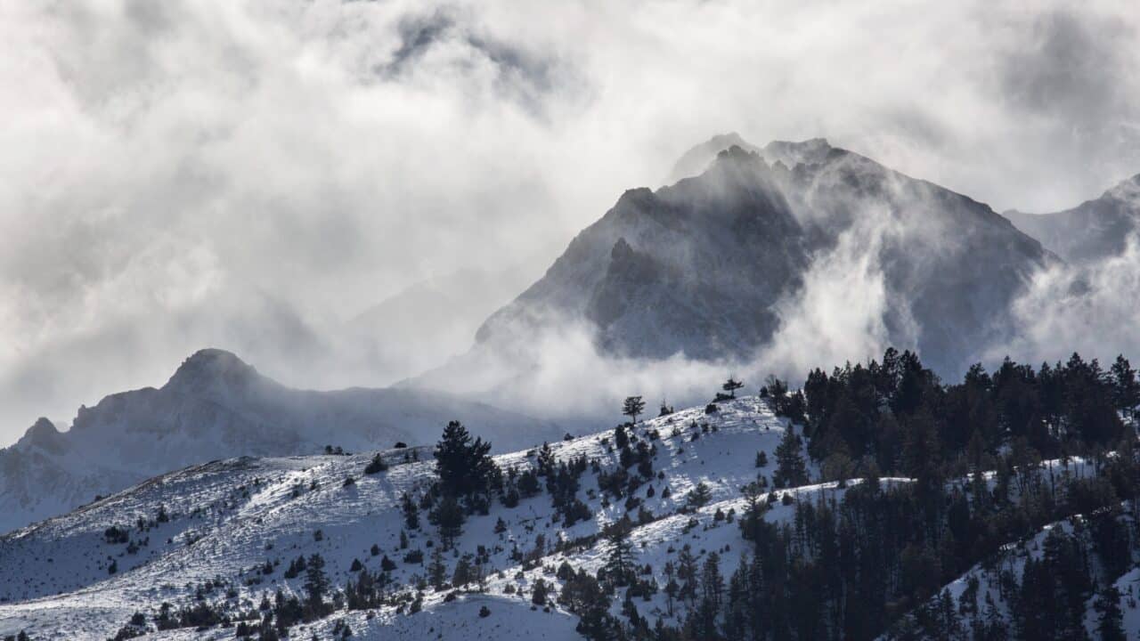 Snow in Yellowstone National Park.