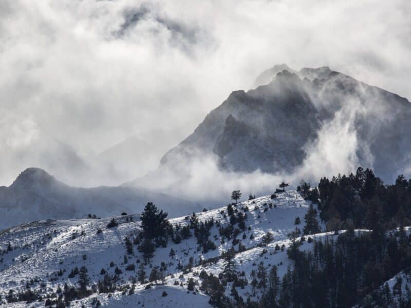 Snow in Yellowstone National Park.