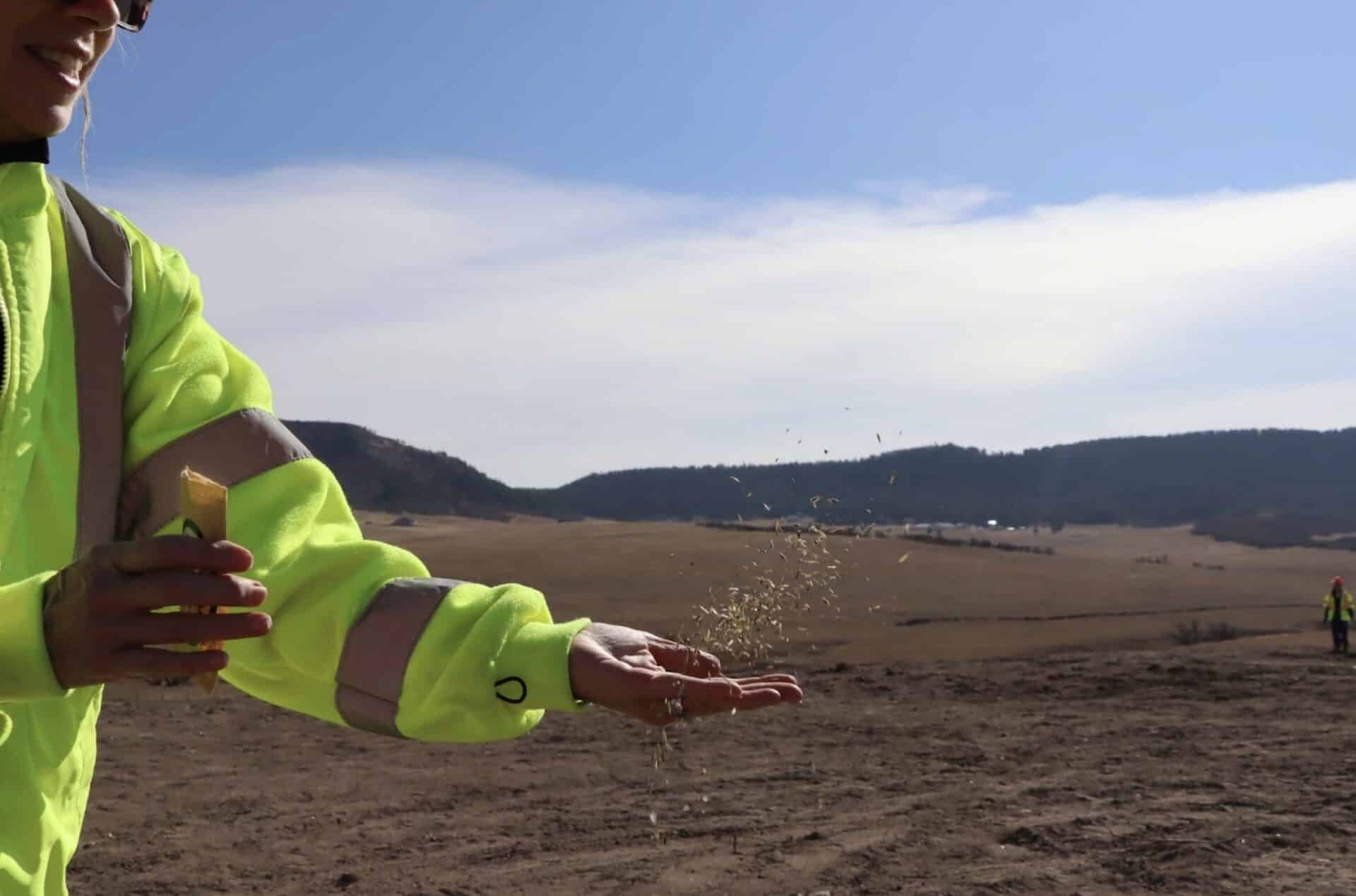 Spreading seeds along the largest wildlife overpass in North America.