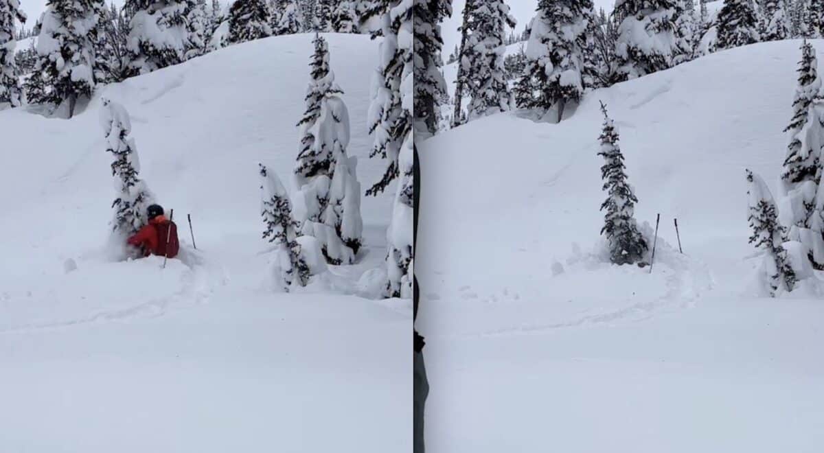 Danger of tree wells.