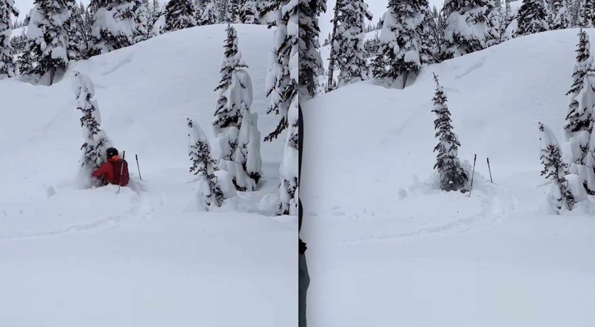 Wild Video Demonstrates The Real Danger Of Tree Wells