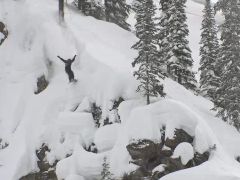 Natural Selection Tour.