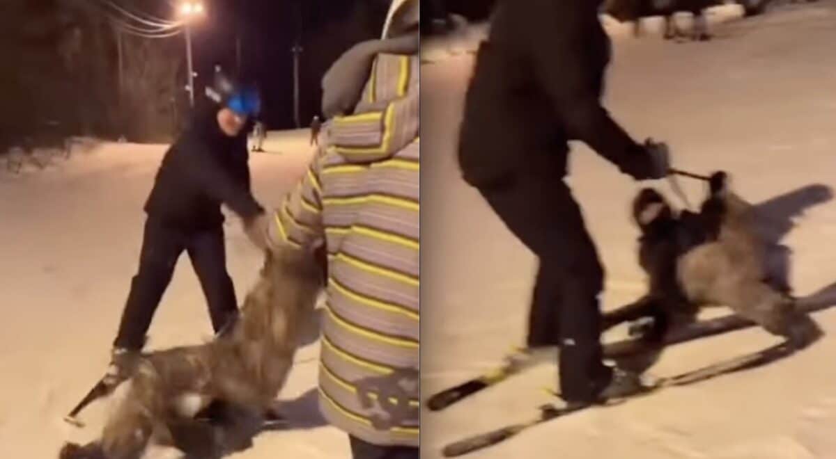 Fight at Pennsylvania ski resort.