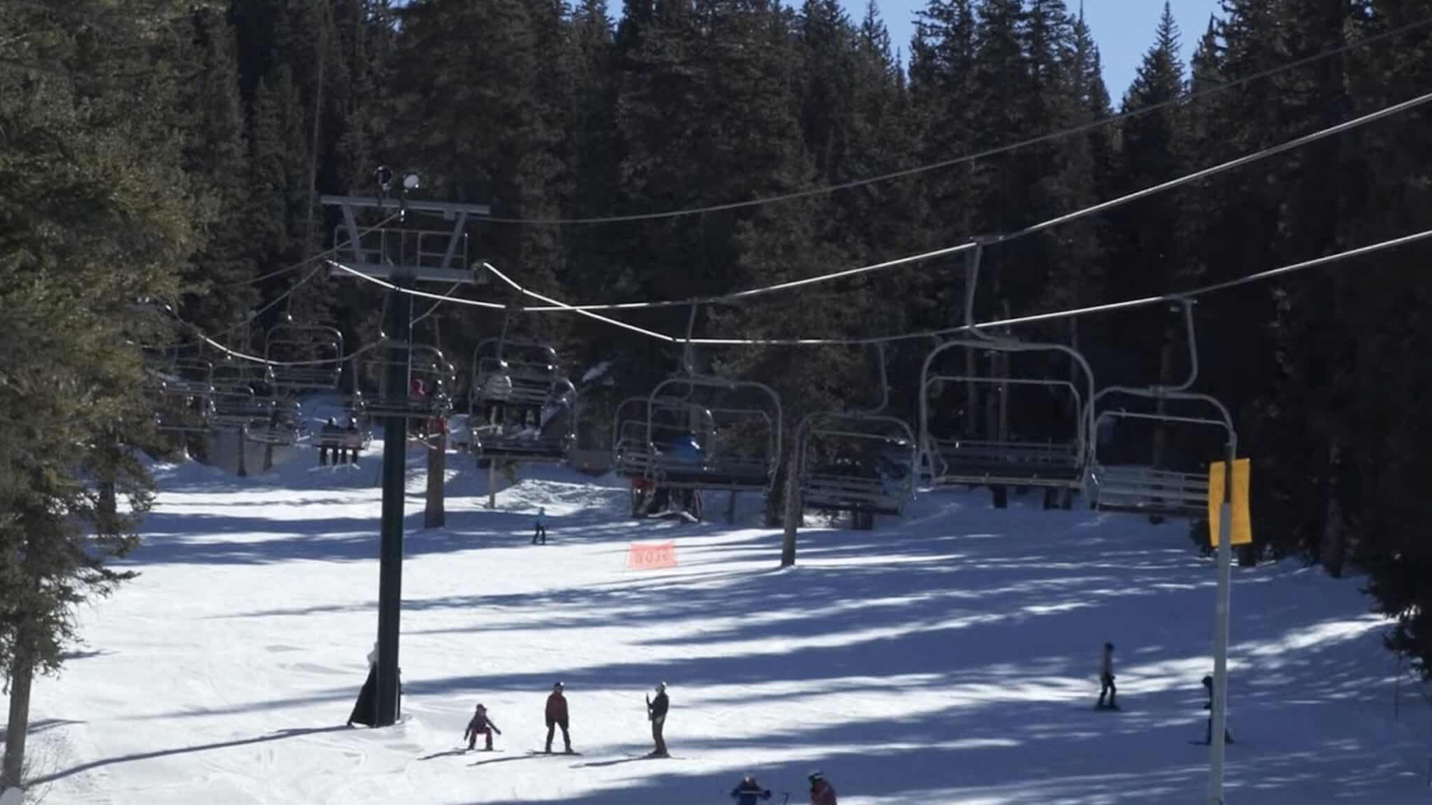 Many U.S. Winter Olympians Were Created On Public National Forest Land