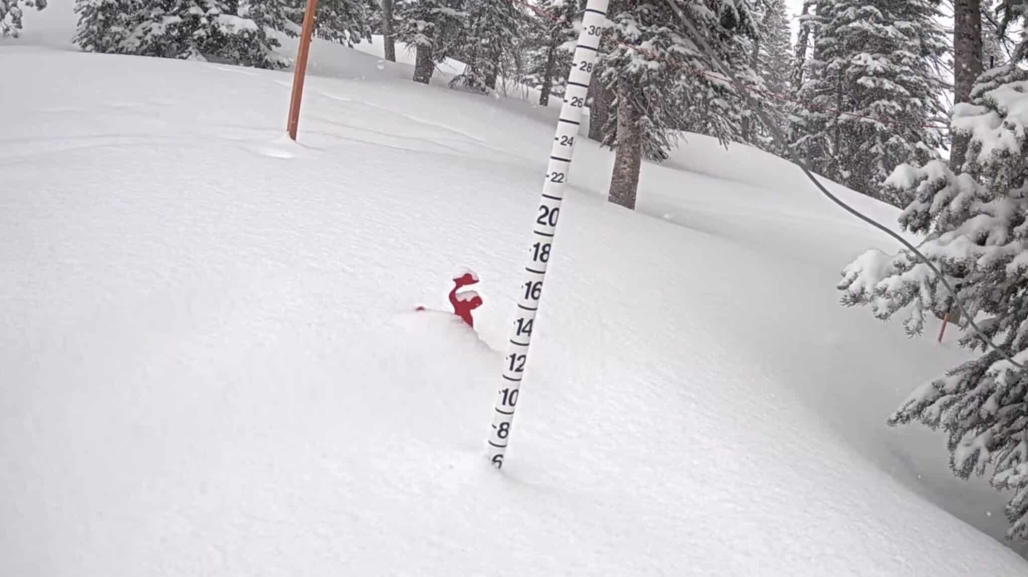 It Is Dumping Snow At Jackson Hole Right Now