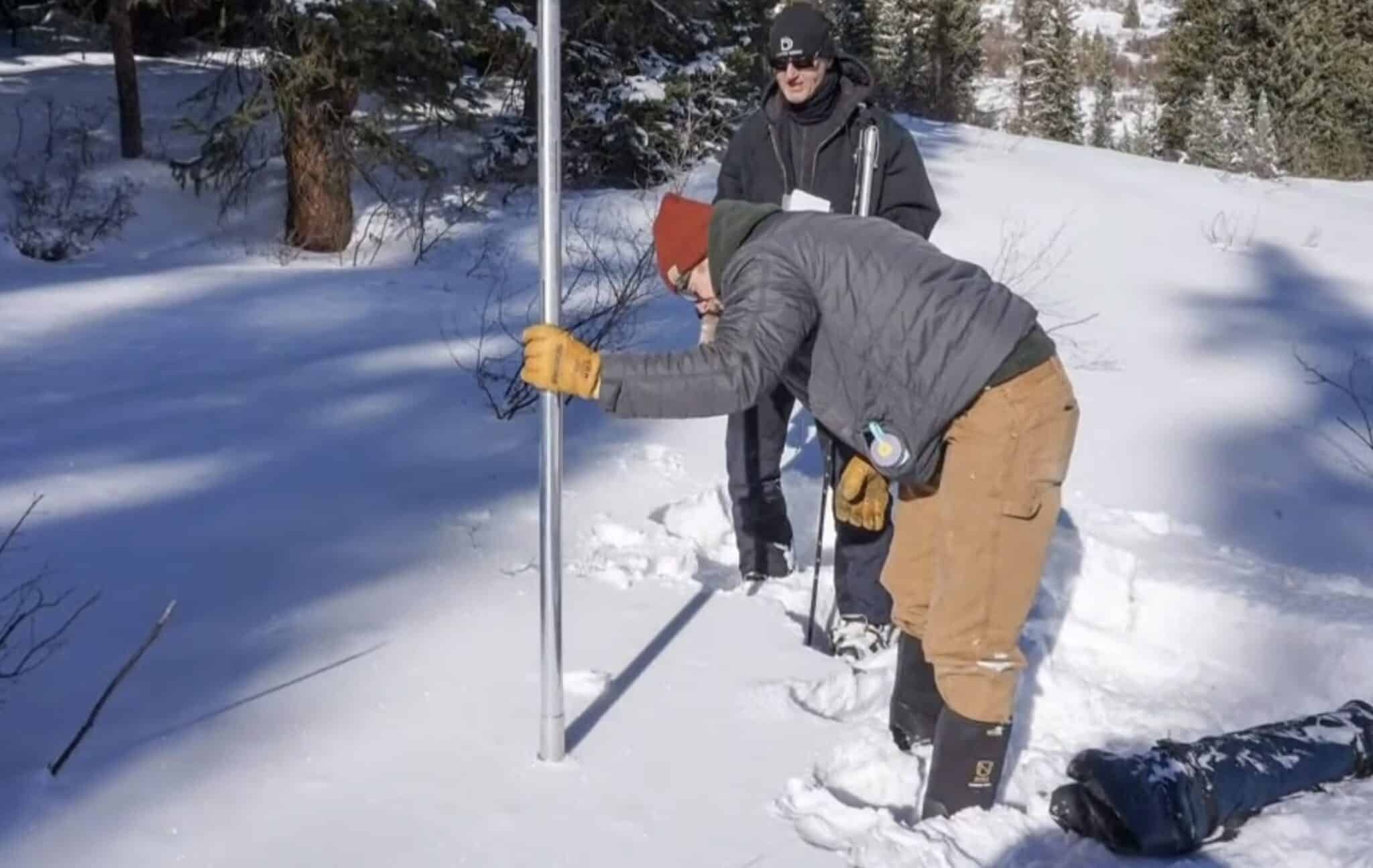 unofficialnetworks.com