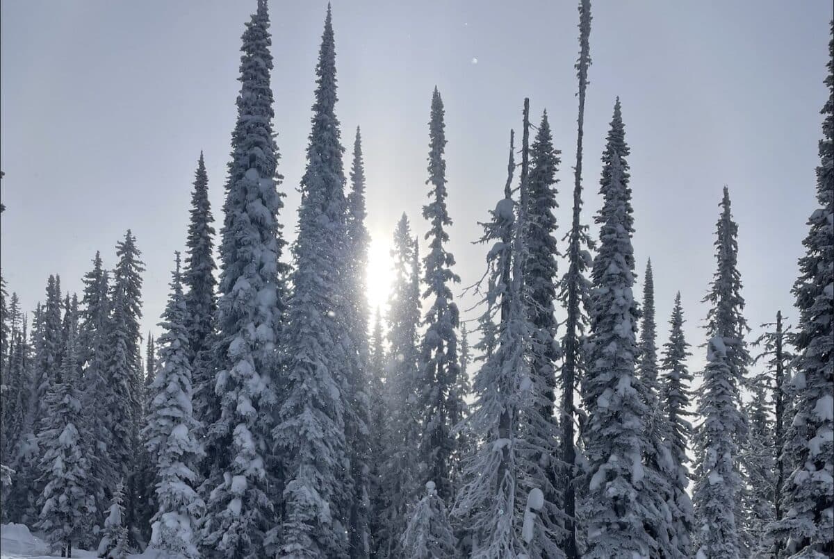 Deep Snow in Revelstoke, 2025