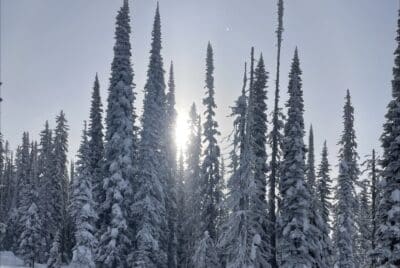 Deep Snow in Revelstoke, 2025